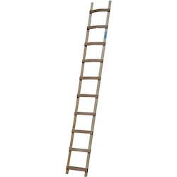 Лестницы для крыш