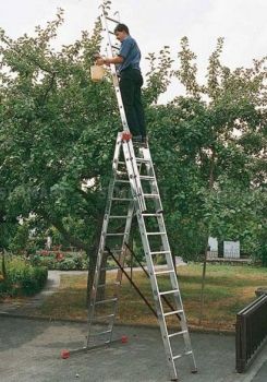 TRIBILO Универс. лестница из трёх частей, 3 х 12 перекладин